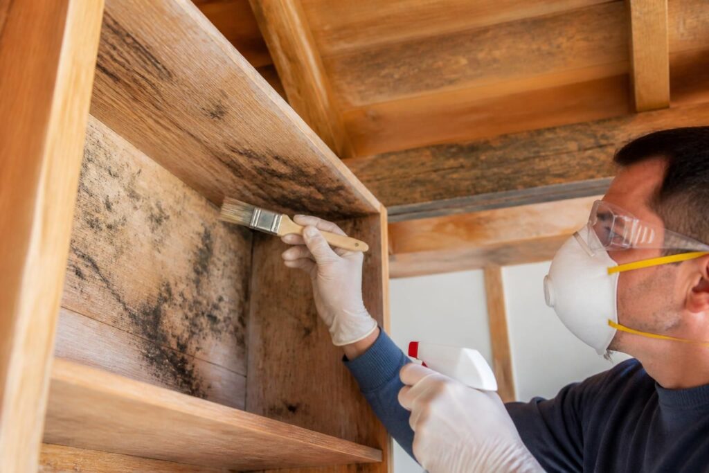 découvrez nos solutions efficaces de traitement anti moisissure pour le bois afin de protéger et préserver vos meubles et charpentes durablement.